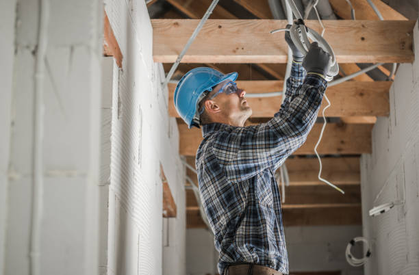 Best Generator Installation Services  in La Grulla, TX