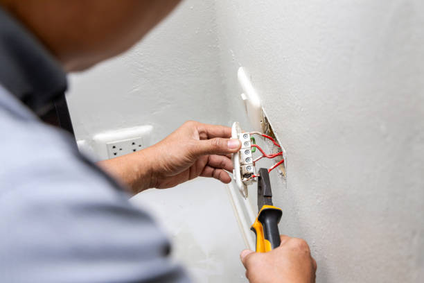 Best Electrical System Inspection  in La Grulla, TX