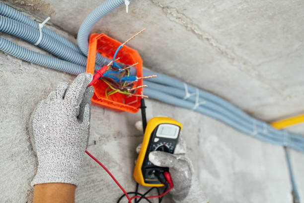 Best Electrician Near Me  in La Grulla, TX
